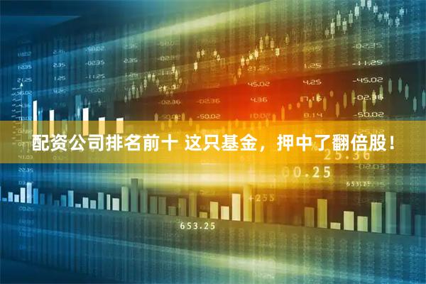 配资公司排名前十 这只基金，押中了翻倍股！